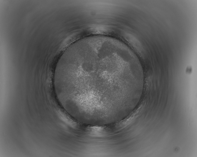 X0000091350265200708171437