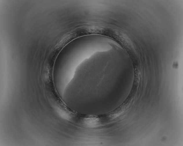 X0000091350266200708171438