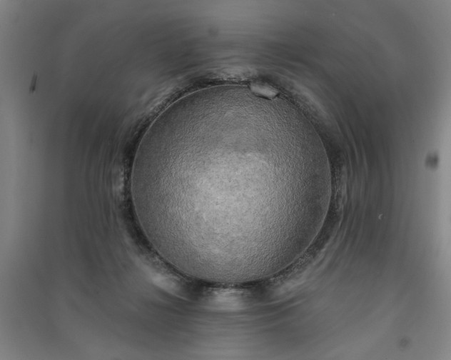 X0000091350268200708171438