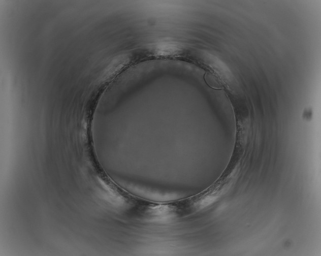 X0000091350269200708171438