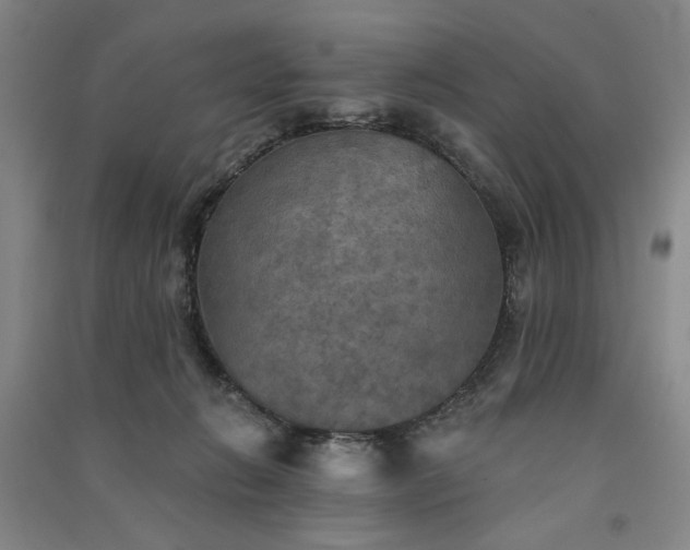 X0000091350270200708171438