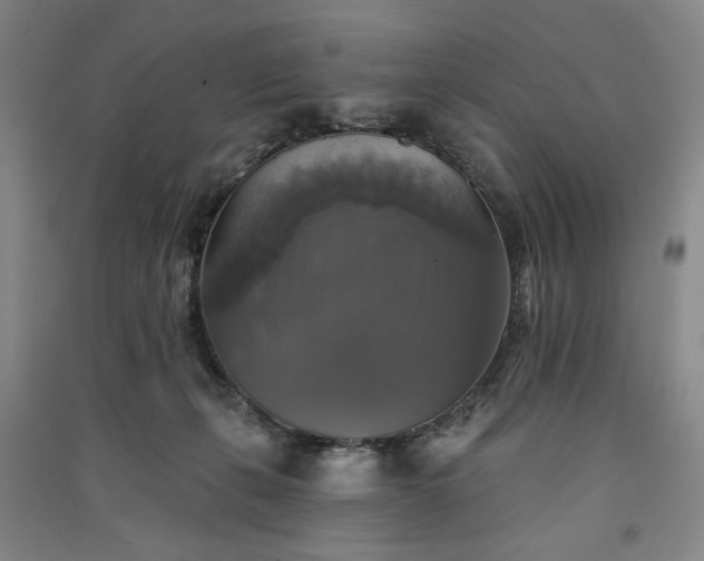 X0000091350271200708171438