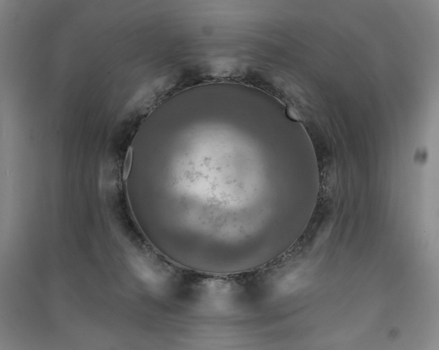 X0000091350272200708171438