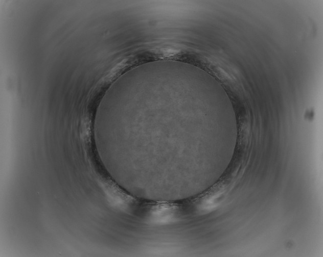 X0000091350274200708171438