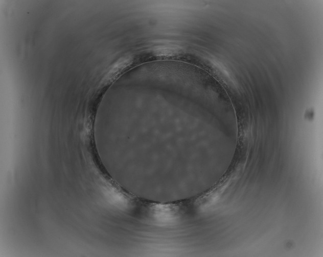 X0000091350277200708171438