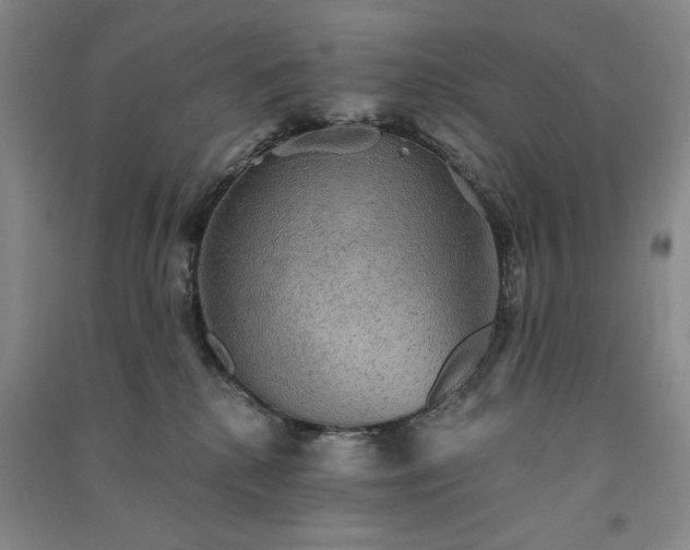 X0000091350280200708171438