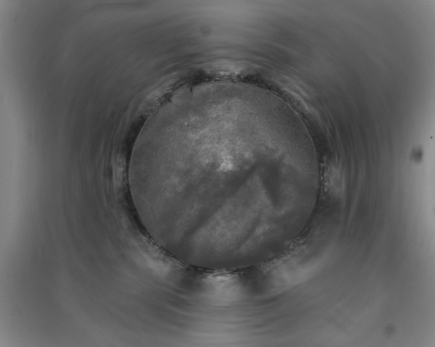 X0000091350283200708171438