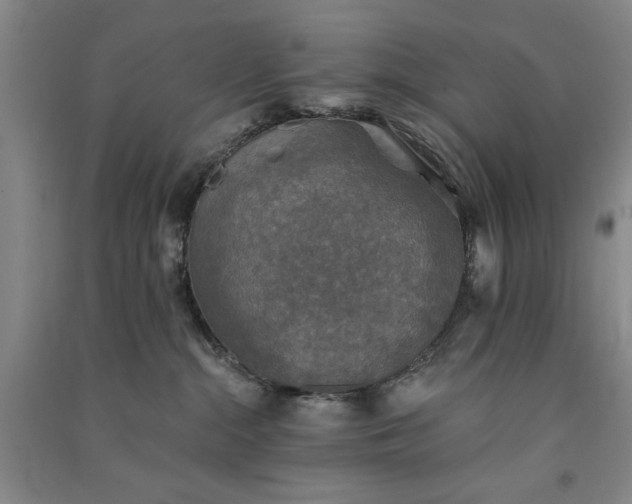 X0000091350284200708171438