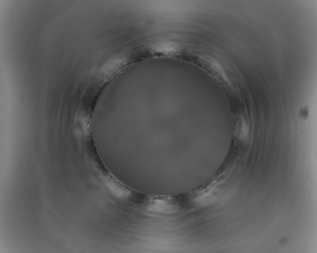 X0000091350285200708171438