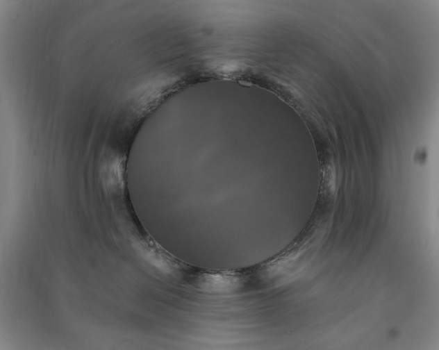 X0000091350286200708171438