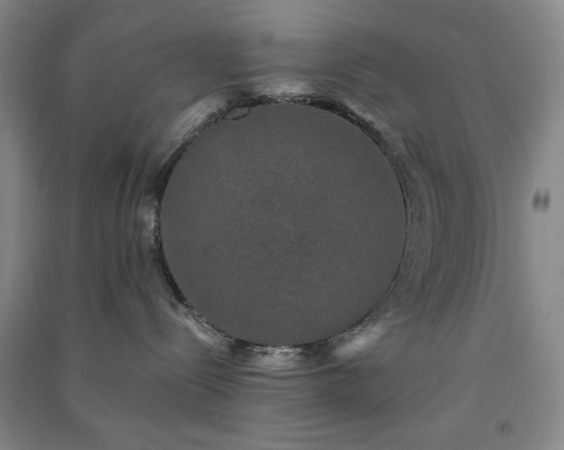 X0000091350288200708171438