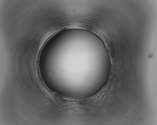 X0000091350289200708171437