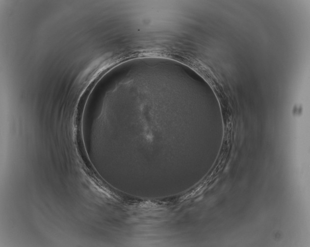 X0000091350290200708171437