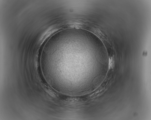 X0000091350291200708171437