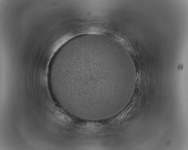 X0000091350292200708171437