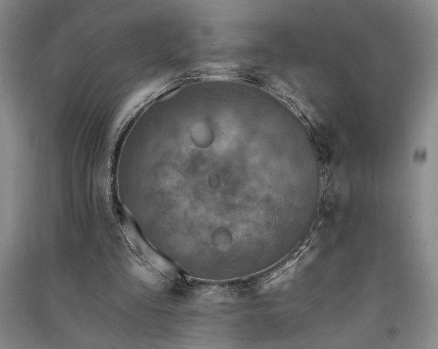 X0000091350293200708171437
