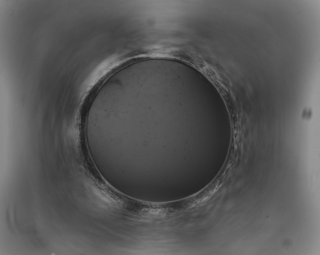 X0000091350295200708171437