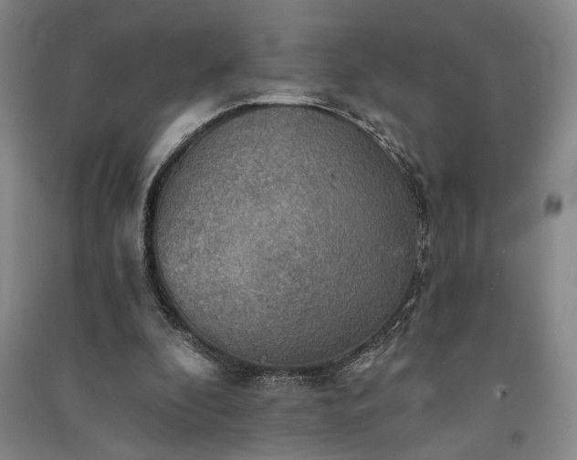 X0000091350296200708171437