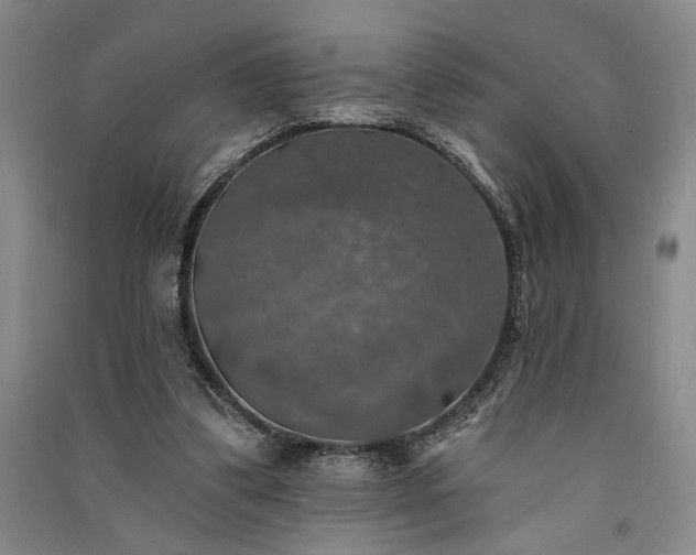 X0000091350299200708171437