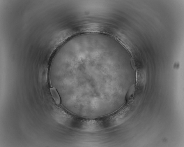 X0000091350301200708171437