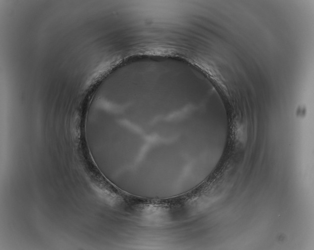 X0000091350303200708171437