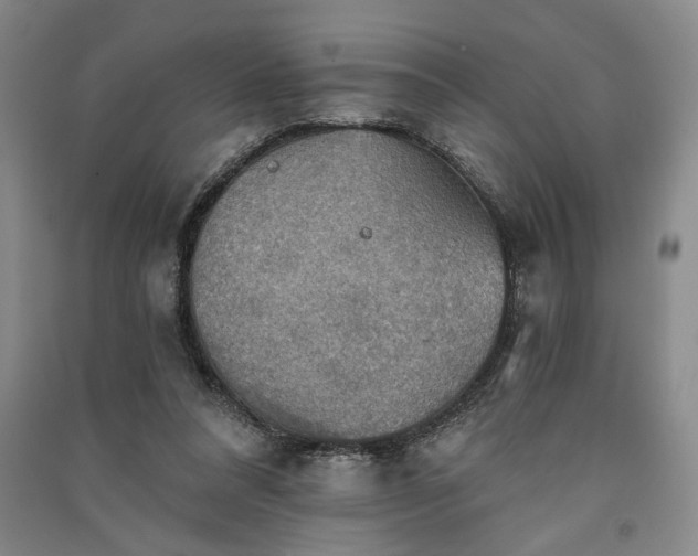 X0000091350304200708171437
