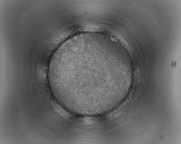 X0000091350305200708171437