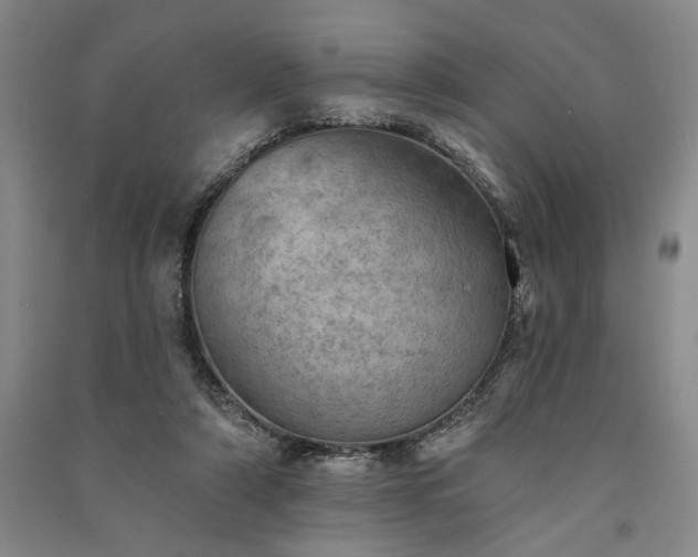 X0000091350306200708171437