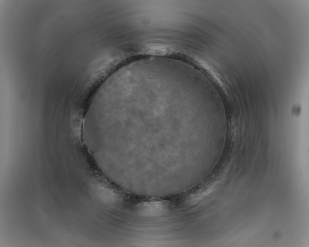 X0000091350307200708171437