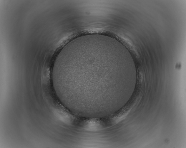 X0000091350308200708171437