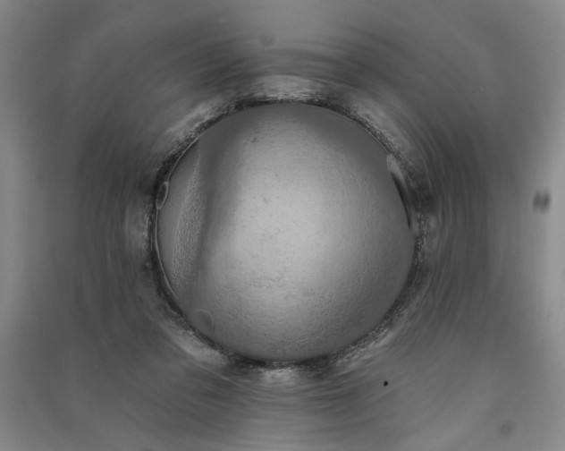 X0000091350309200708171437