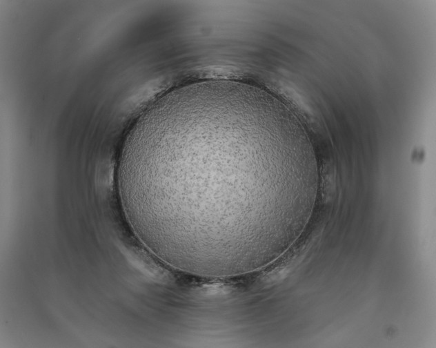X0000091350310200708171437