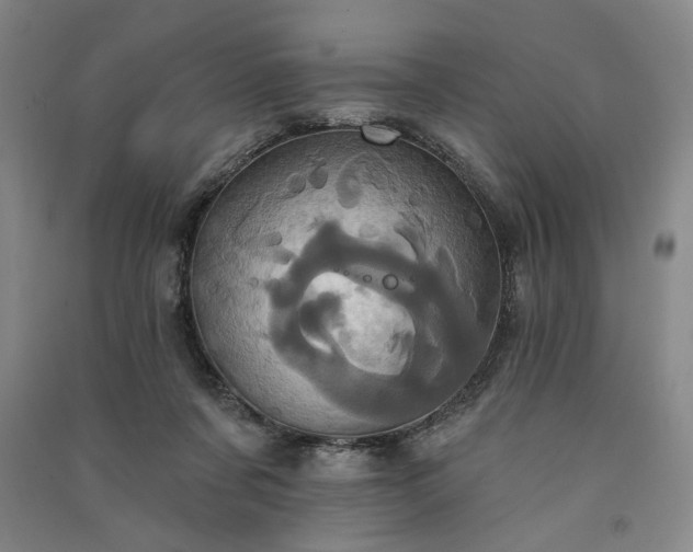 X0000091350311200708171437
