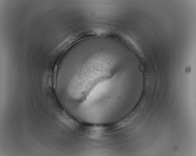 X0000091350313200708171437