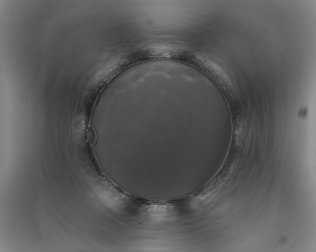 X0000091350314200708171437