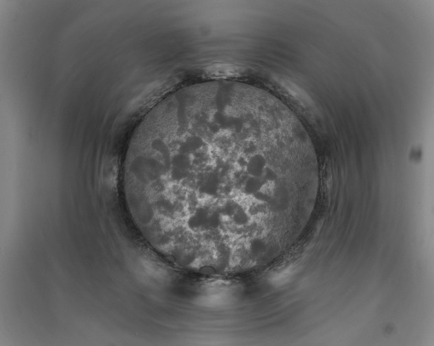 X0000091350315200708171437
