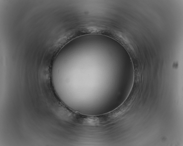 X0000091350317200708171437