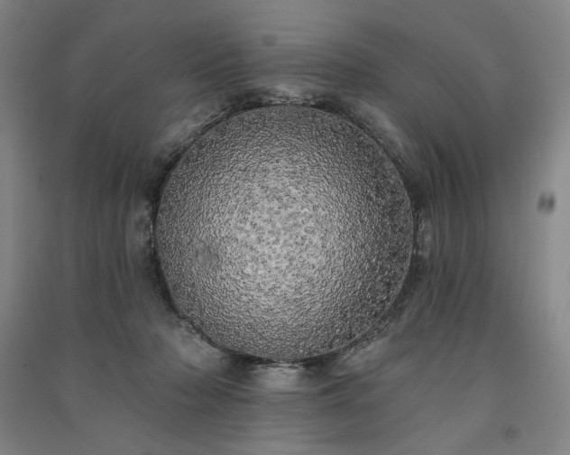 X0000091350318200708171437