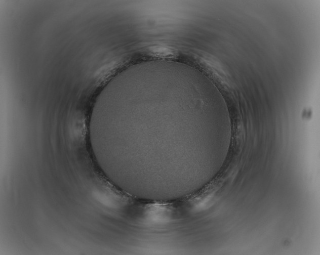 X0000091350320200708171437