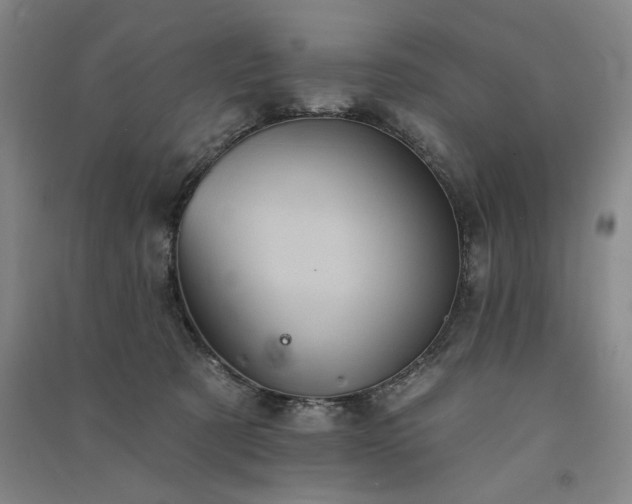 X0000091350321200708171437