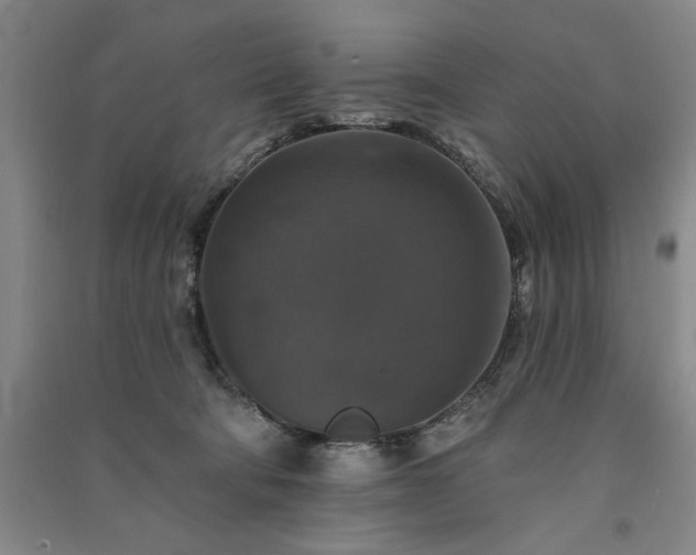 X0000091350322200708171437