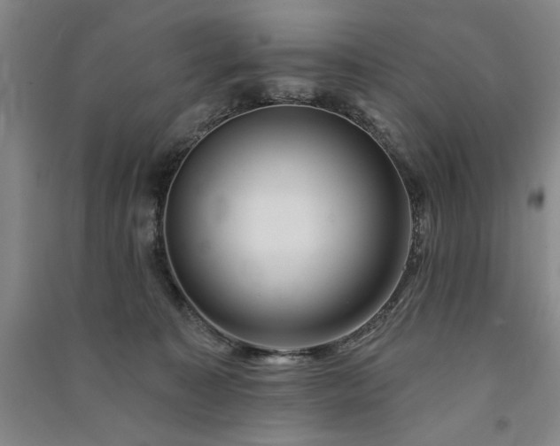 X0000091350323200708171437