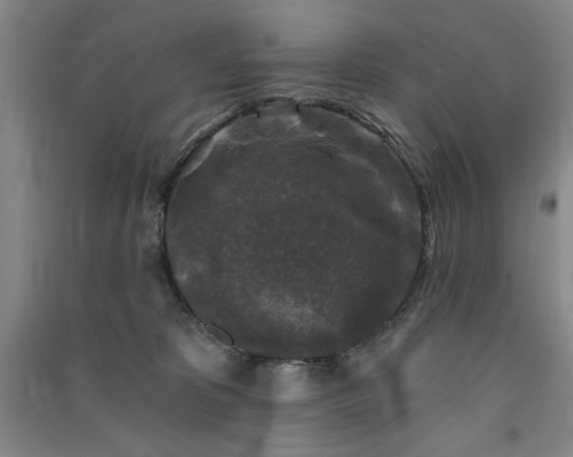 X0000091350325200708171437