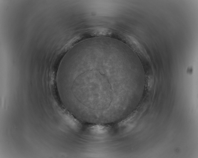 X0000091350326200708171437