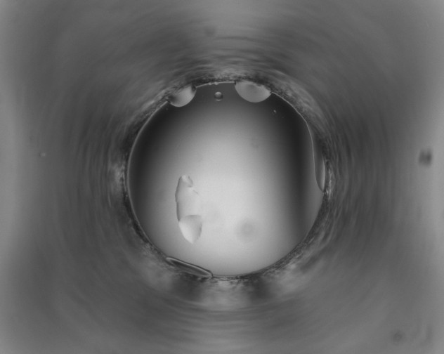 X0000091350329200708171437