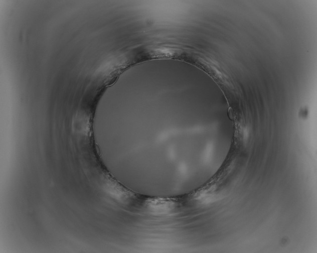 X0000091350331200708171436