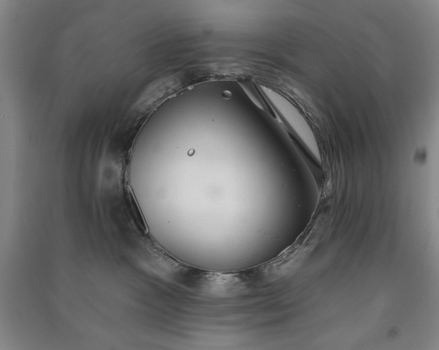 X0000091350333200708171436