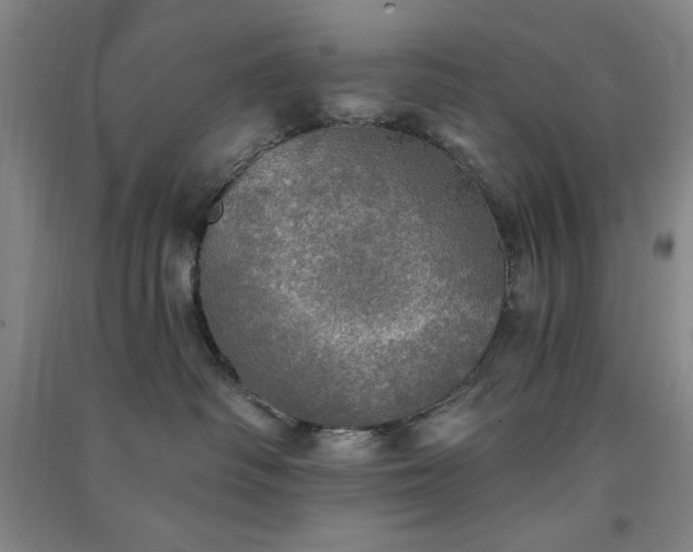 X0000091350334200708171436