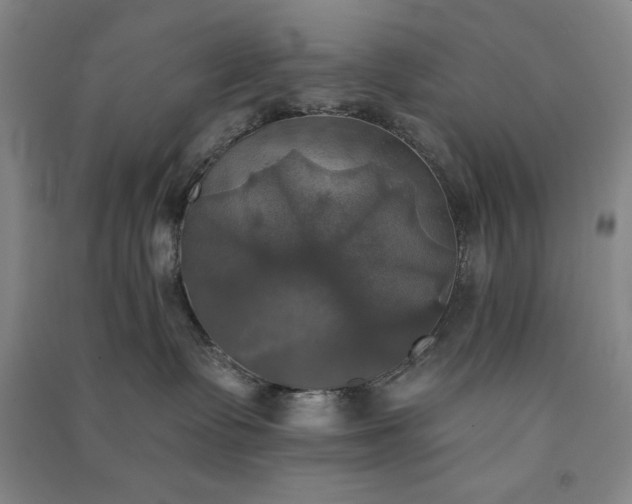 X0000091350335200708171436