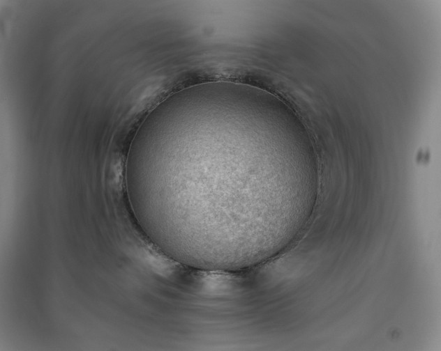 X0000091350336200708171436
